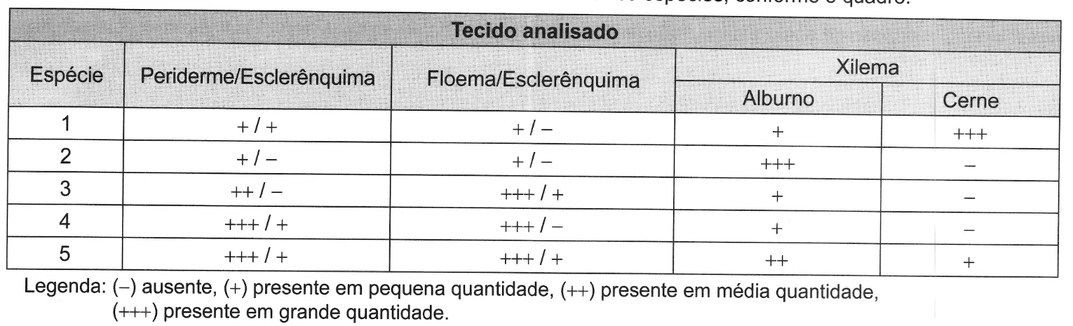 Figura da questão 119 do ENEM 2021