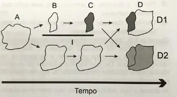 Figura da questão 101 do ENEM 2020