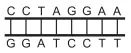 Figura da alternativa E