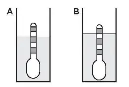 Figura da alternativa B
