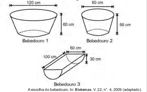 Figura da questão 138 do ENEM 2010