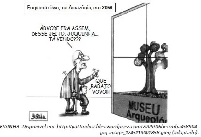 Figura da questão 96 do ENEM 2010