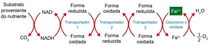 Figura da questão 127 do ENEM 2023