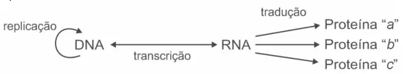 Figura da questão 16 do ENEM 2009