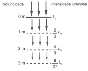 Figura 2 de 2 da questão 169 do ENEM 2023