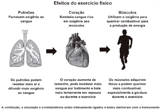 Figura da questão 96 do ENEM 2012