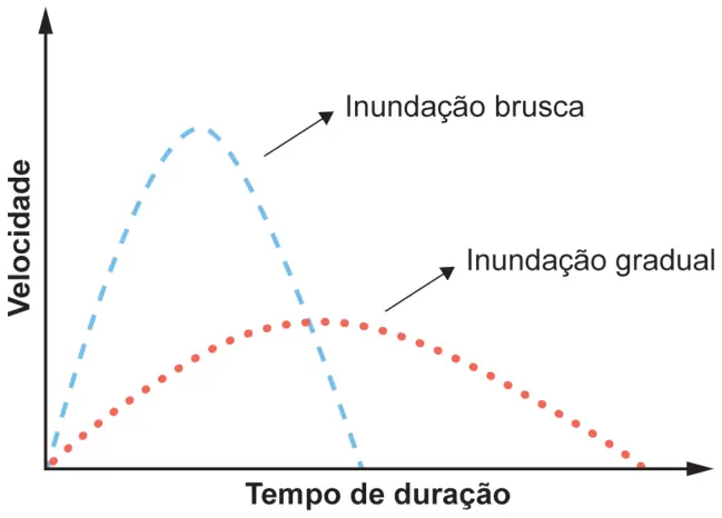 Figura da questão 53 do ENEM 2024
