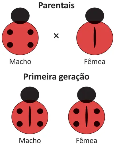Figura 1 de 2 da questão 102 do ENEM 2025