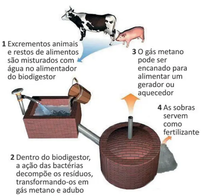 Figura da questão 111 do ENEM 2025