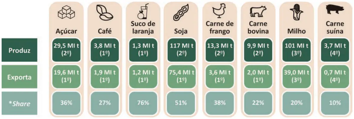 Figura da questão 63 do ENEM 2025